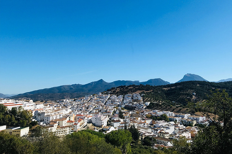 Foto de Prado del Rey